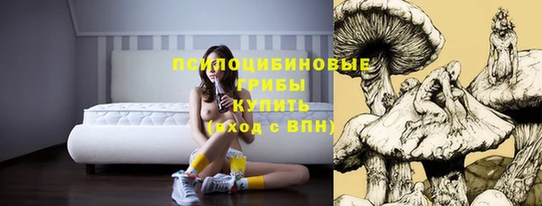 ешки Горно-Алтайск