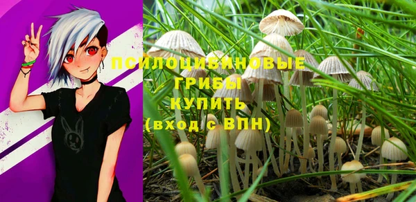 винт Горняк
