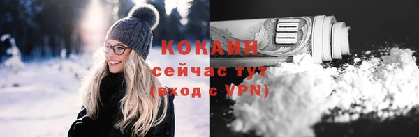 винт Горняк
